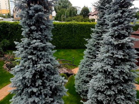 будинок за адресою Освіти вул.