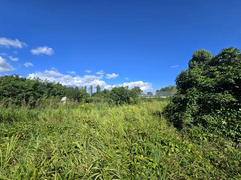 ділянка за адресою Володимирська вул., 191