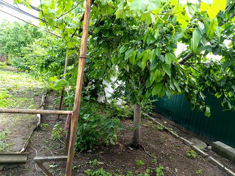 будинок за адресою Професора Коровицького вул., 70