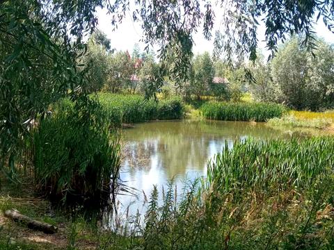 участок по адресу с. Красиловка, Паркова, 6