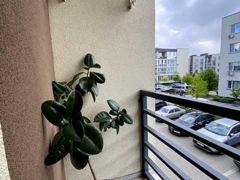 квартира за адресою Березова вул., 43