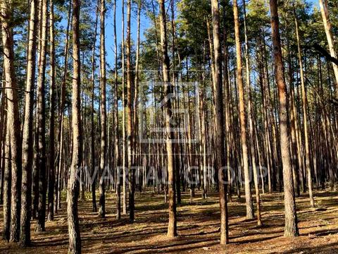 дом по адресу лесі українки