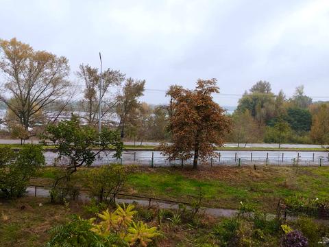 квартира за адресою Прирічна вул., 19