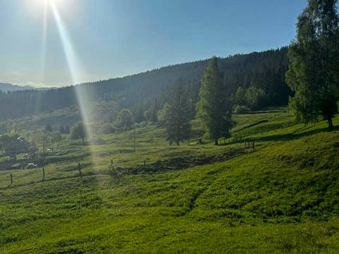 участок по адресу Хижки