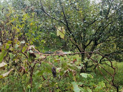 будинок за адресою Польва, 7