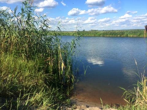 ділянка за адресою Садова , 77