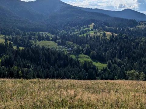 участок по адресу пгт. Верховина, 