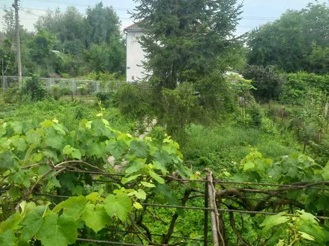 дом по адресу 4 та лінія