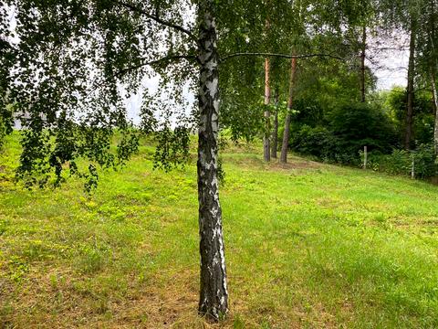 ділянка за адресою Рассвет