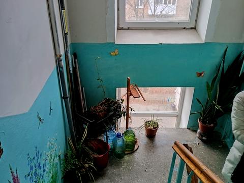 квартира по адресу Елены Телиги ул., 21-А