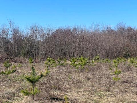 участок по адресу 