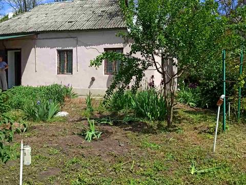 дом по адресу Мира, 2
