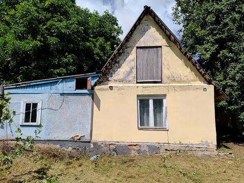 ділянка за адресою с. Велика Вільшанка, Колгоспна
