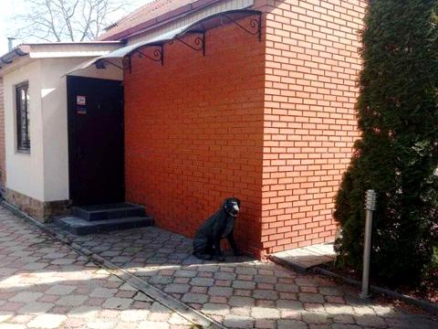 будинок за адресою Володимира Пасічника вул. (Толбухіна), 10