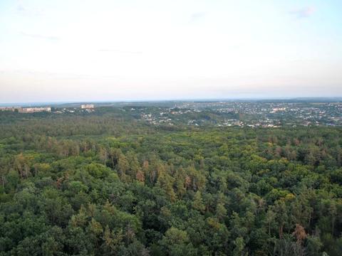 квартира за адресою Лісова вул., 3