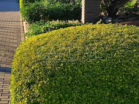 будинок за адресою Туполєва академіка вул.