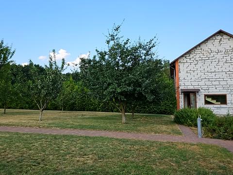 дом по адресу Бакумівка