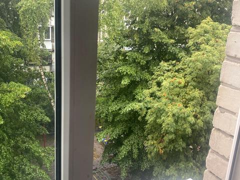 квартира за адресою Миколи Хвильового вул., 19