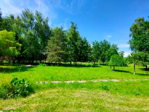 ділянка за адресою Центральна вул.