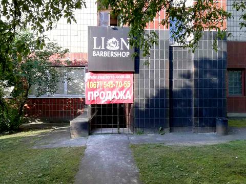 комерційна за адресою Голосіївський просп. (40-річчя Жовтня), 15-А