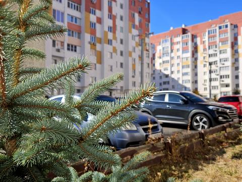 квартира по адресу Победы просп., 87