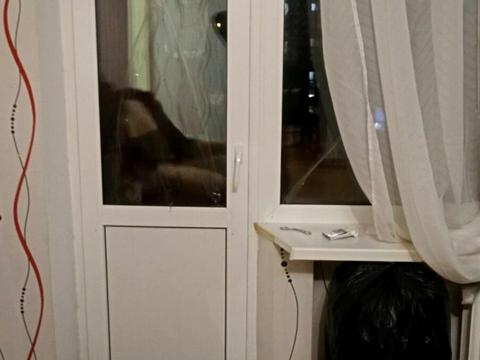 квартира по адресу Северокольцевая ул., 5