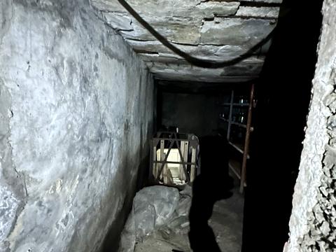 дом по адресу Центральна, 11