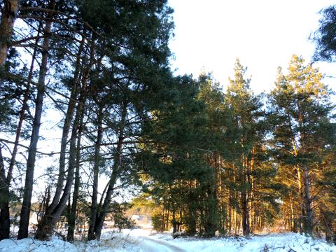 участок по адресу Береговий пров.