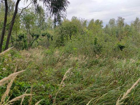 участок по адресу 2-га Лінія, 13/15