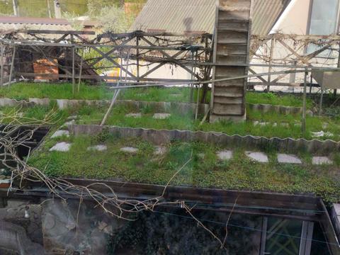 дом по адресу Севастопольская ул., 100