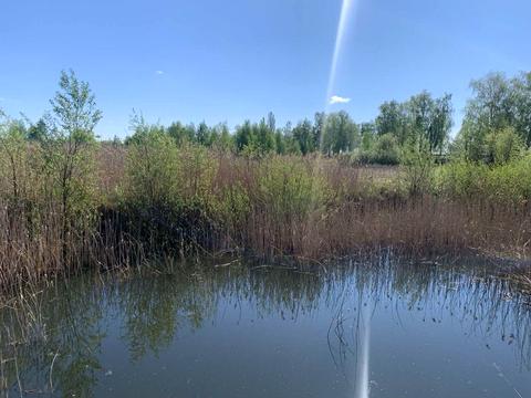 ділянка за адресою с. Ясногородка, 