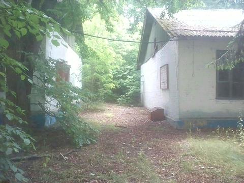 комерційна за адресою Шевченка вул., 43а