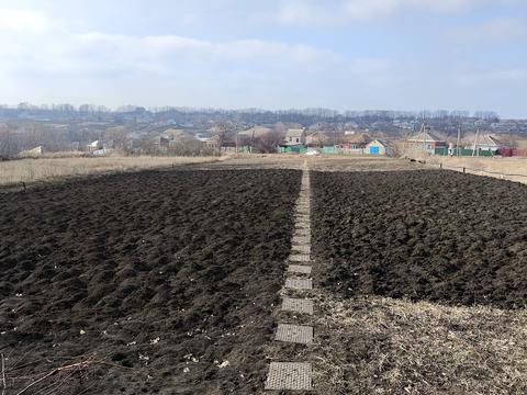дом по адресу Мира ул., 48