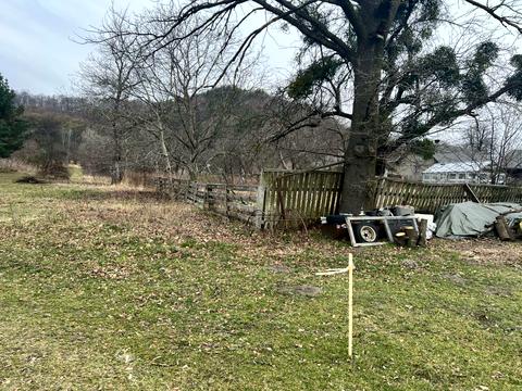 ділянка за адресою с. Козулька, запасіка, 19