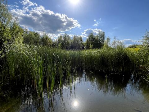 участок по адресу Северинівська