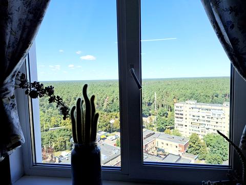 квартира по адресу Гонгадзе Георгия просп. (Советской Украины), 18-Д