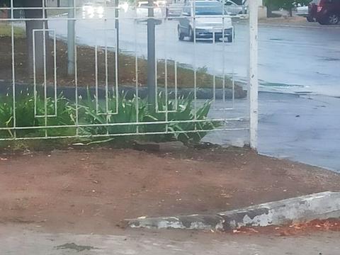 коммерческая по адресу Генерала Петрова ул., 65