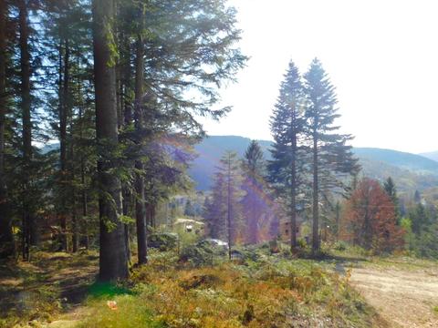 будинок за адресою Бориславська вул., 21