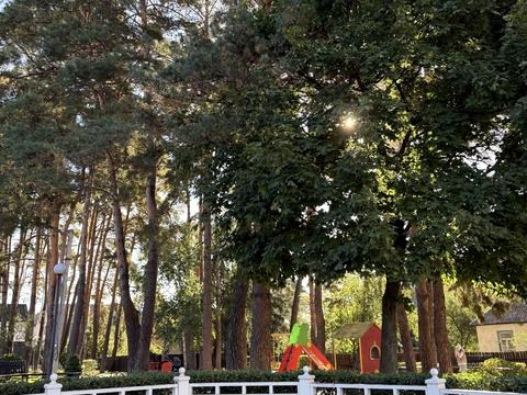 дом по адресу Центральная ул. (Чапаева)