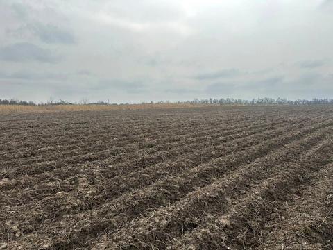 ділянка за адресою с. Лісові Гринівці, 