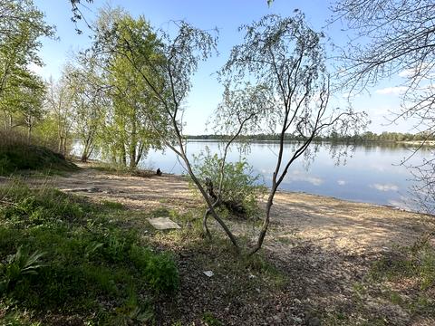 дом по адресу Садова, 13