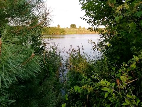 будинок за адресою с. Проців, Основна