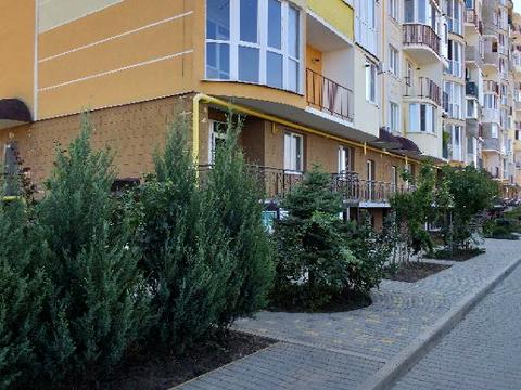 квартира за адресою Семена Палія вул. (Дніпропетровська дорога), 22а