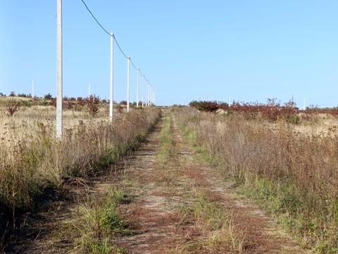 ділянка за адресою Новий двір