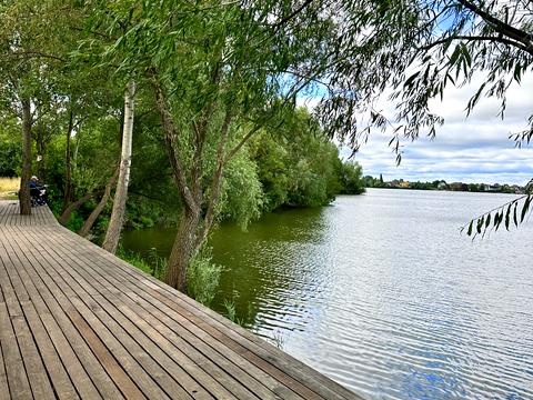 квартира за адресою Софії Русової вул., 5