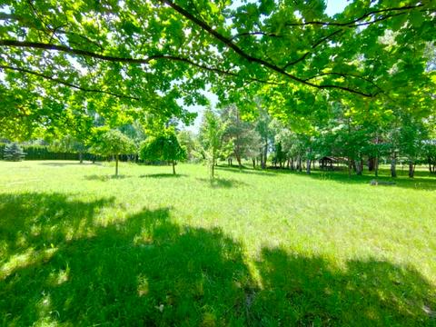 ділянка за адресою Центральна вул.