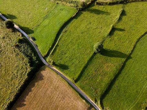 ділянка за адресою Ясна