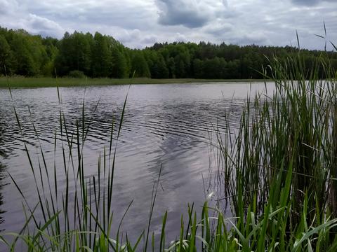 участок по адресу Кирила Розумовського ул. (Рахматуліна)