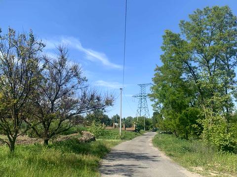ділянка за адресою Берегова