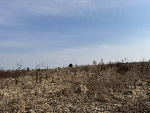 ділянка за адресою Івана Трясила